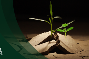 Political Chaos: Your Chance to Grow?