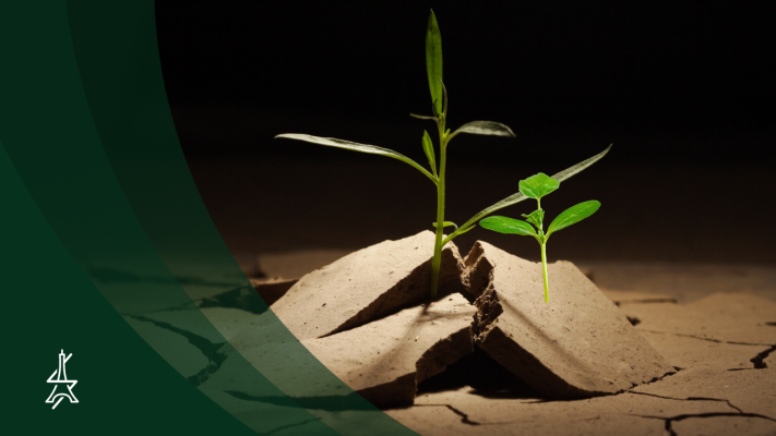 Political Chaos: Your Chance to Grow?